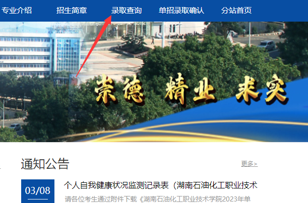 湖南石油化工职业技术学院2023年单招成绩录取查询