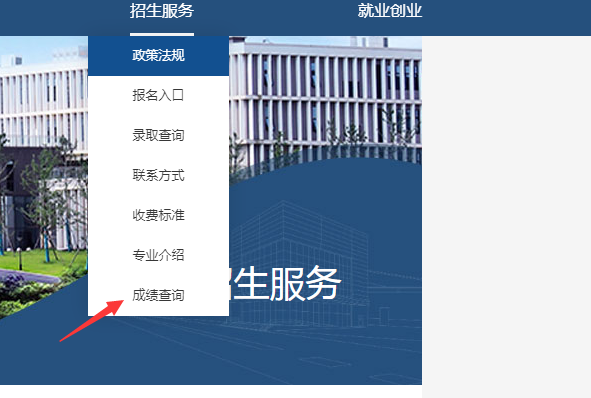 湖南吉利汽车职业技术学院2023年单招成绩查询