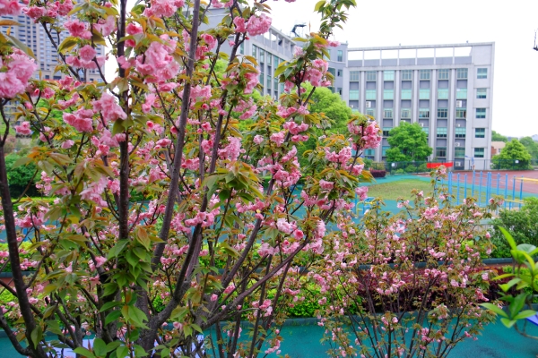 醴陵市陶瓷烟花职业技术学校怎么样