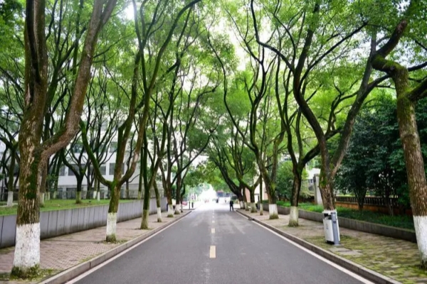 长沙电力职业技术学院学费