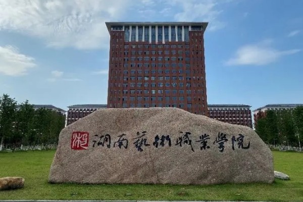湖南艺术职业学院2024年专业收费标准