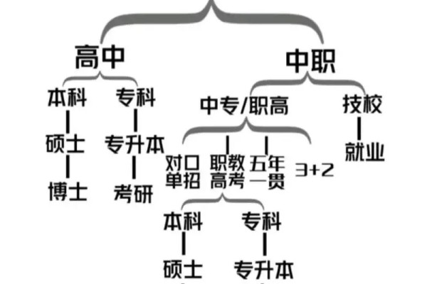 中考分流比例是按学校算还是另有玄机