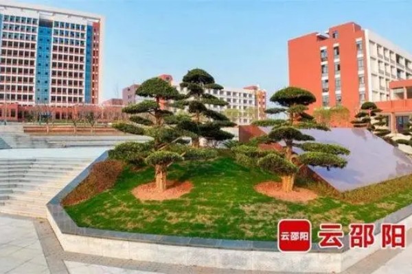 邵阳工业职业技术学院2025年高职单招章程