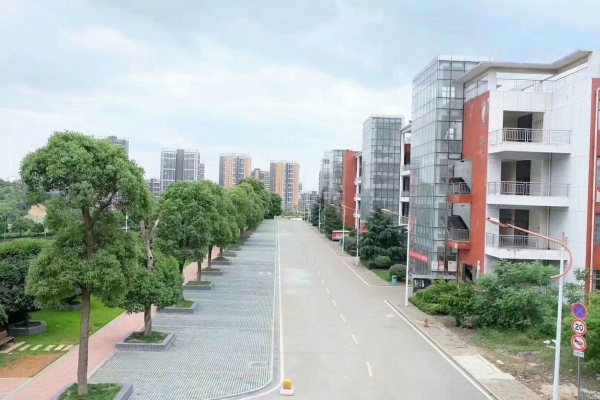 长沙南方职业学院五年制大专2025年招生简章